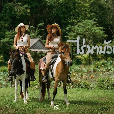 ไร่นาบัวหลวง คาเฟ่ & ฟาร์มสเตย์ Raina Bualuang Cafe & Farm Stay Ban Na No Extérieur photo