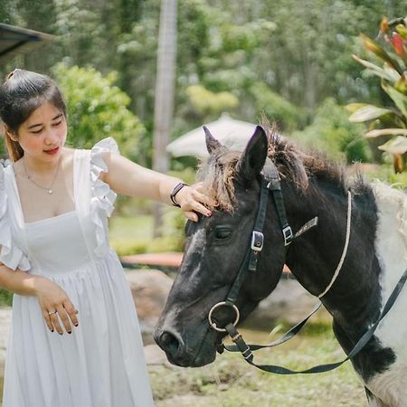ไร่นาบัวหลวง คาเฟ่ & ฟาร์มสเตย์ Raina Bualuang Cafe & Farm Stay Ban Na No Extérieur photo
