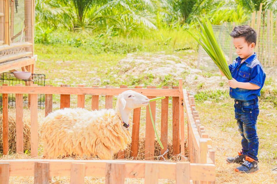 ไร่นาบัวหลวง คาเฟ่ & ฟาร์มสเตย์ Raina Bualuang Cafe & Farm Stay Ban Na No Extérieur photo