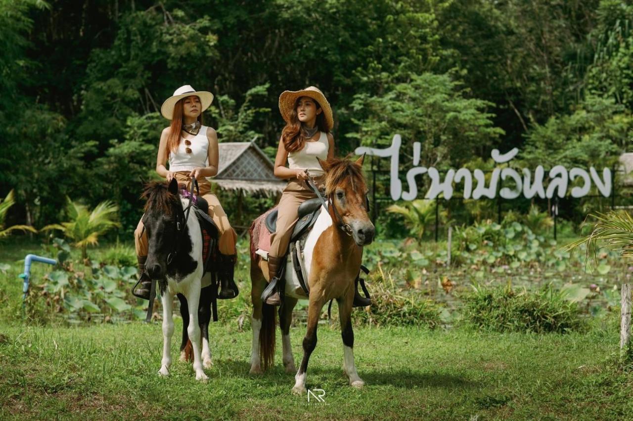 ไร่นาบัวหลวง คาเฟ่ & ฟาร์มสเตย์ Raina Bualuang Cafe & Farm Stay Ban Na No Extérieur photo