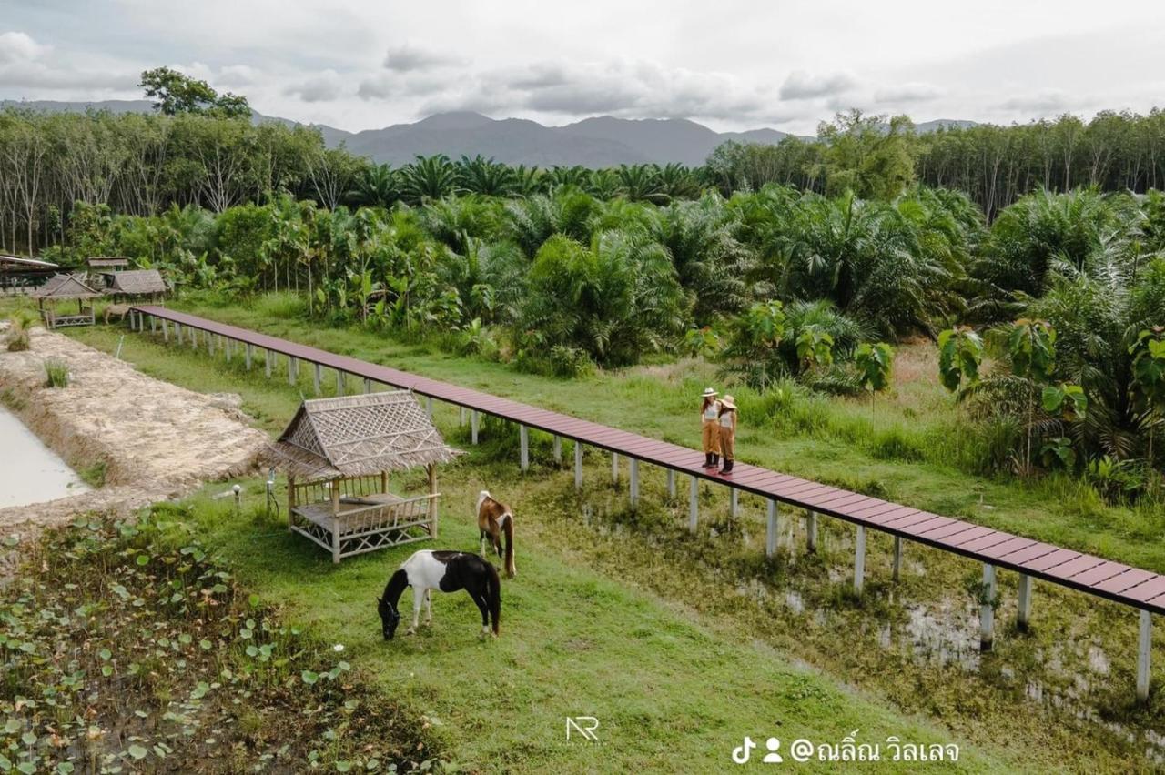ไร่นาบัวหลวง คาเฟ่ & ฟาร์มสเตย์ Raina Bualuang Cafe & Farm Stay Ban Na No Extérieur photo