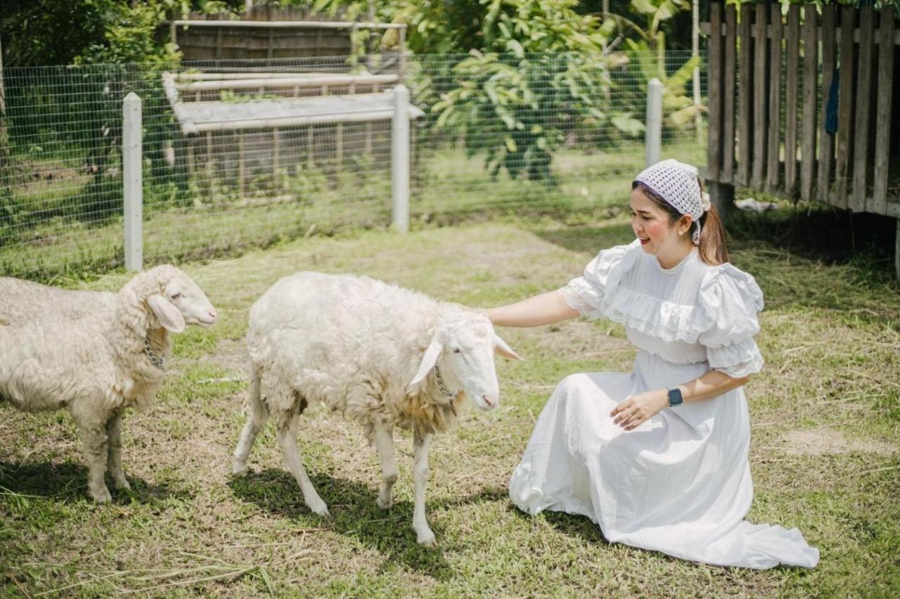 ไร่นาบัวหลวง คาเฟ่ & ฟาร์มสเตย์ Raina Bualuang Cafe & Farm Stay Ban Na No Extérieur photo