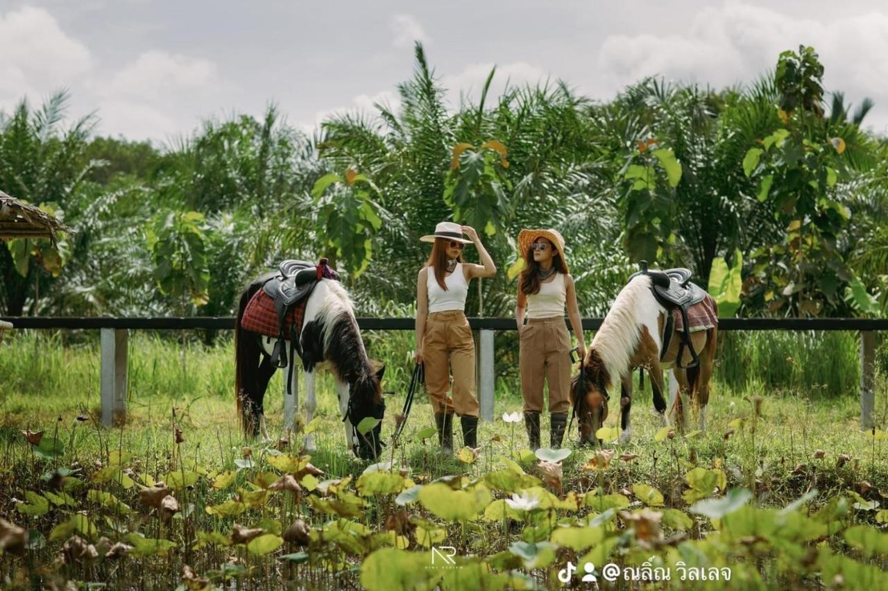 ไร่นาบัวหลวง คาเฟ่ & ฟาร์มสเตย์ Raina Bualuang Cafe & Farm Stay Ban Na No Extérieur photo