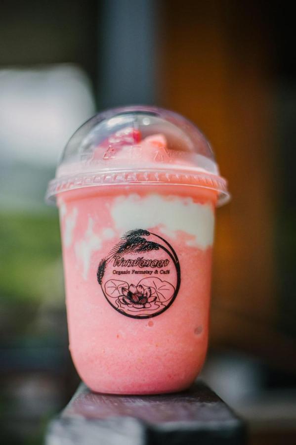 ไร่นาบัวหลวง คาเฟ่ & ฟาร์มสเตย์ Raina Bualuang Cafe & Farm Stay Ban Na No Extérieur photo